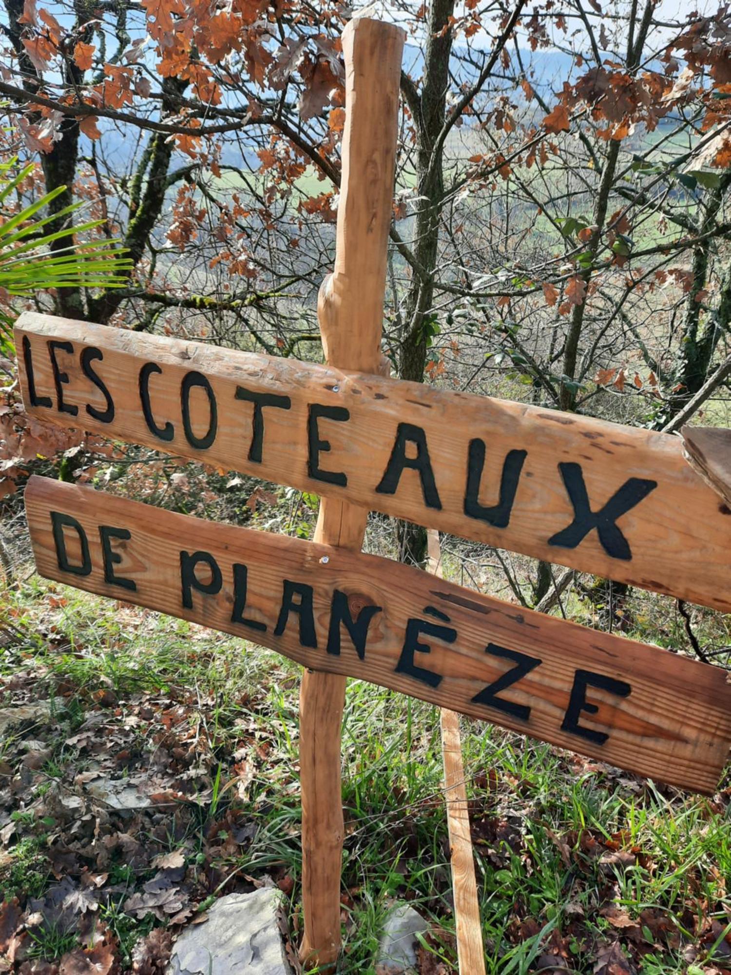 Les Coteaux De Planeze, Chambre Pour 2, 3 Ou Famille Nombreuse 2 Adultes 5 Enfants Et Jeunes Belmont-Bretenoux Exterior photo